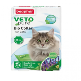 فيتامينات ومكملات للقطط