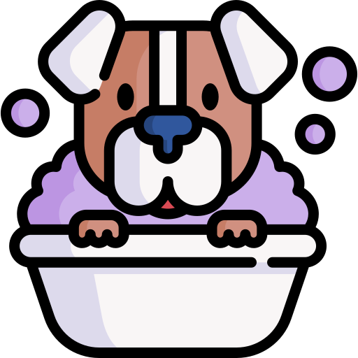 العناية والنظافة