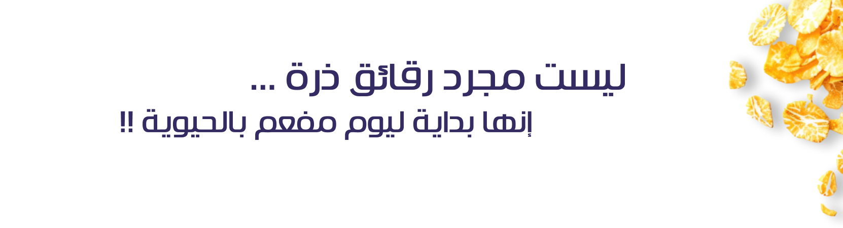 سيريالز cerealz image-slider-0