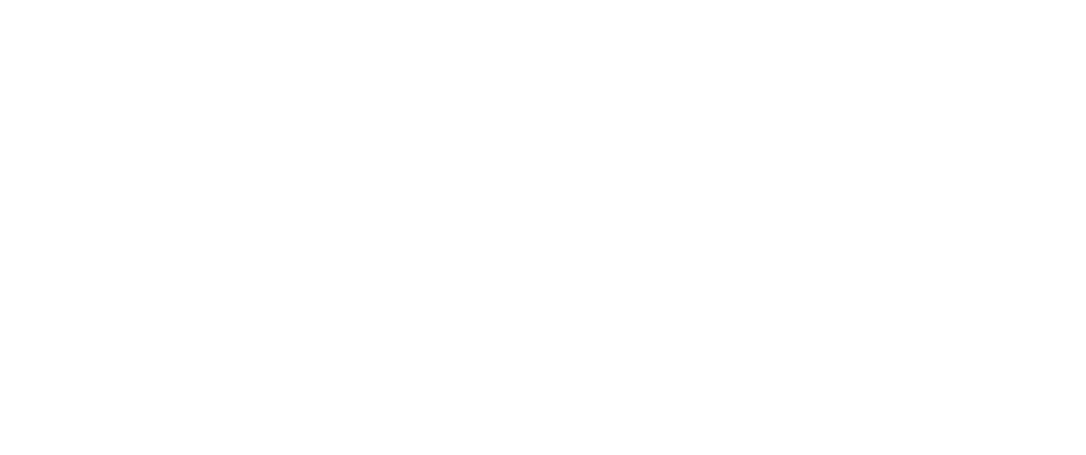 White Elegance Logo