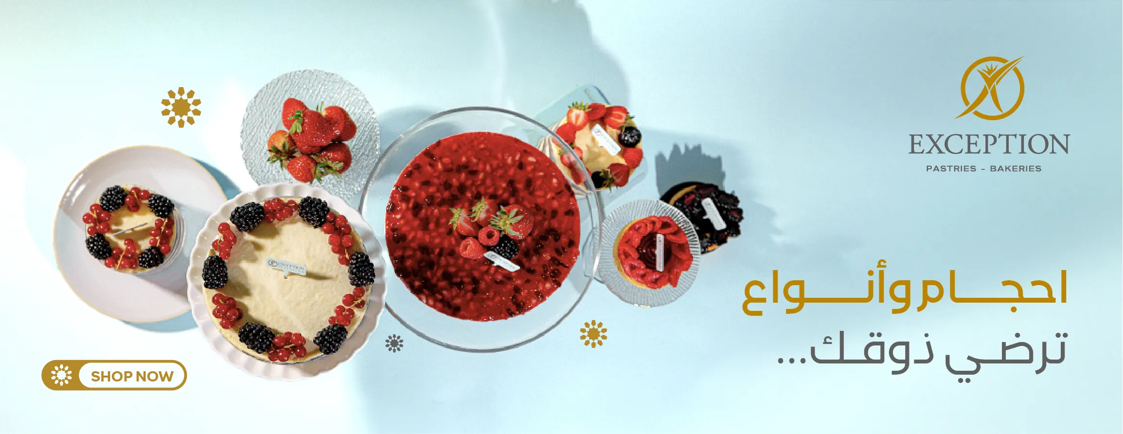إكسبشن image-slider-2