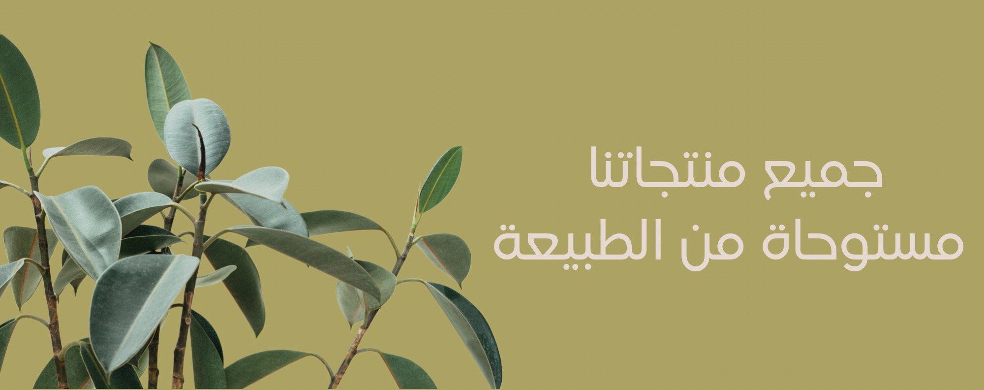 fixed banner
