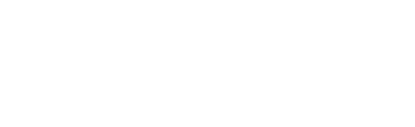 سبايدر ستور