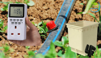 مستلزمات الزراعة