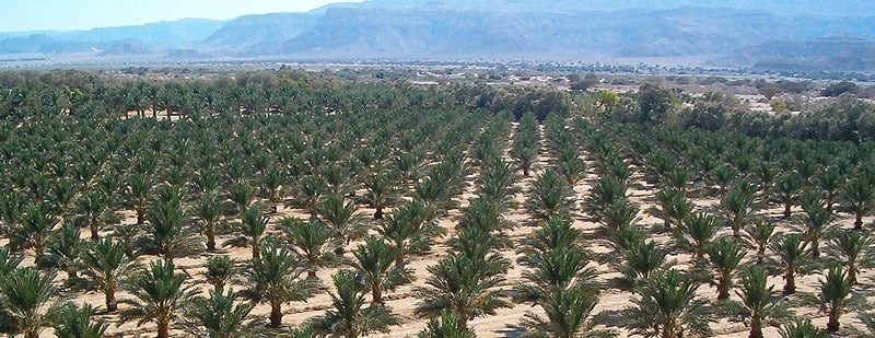 السابق image-slider-0