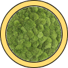 CROWN MOSS