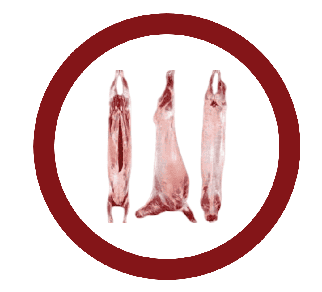 مبرد