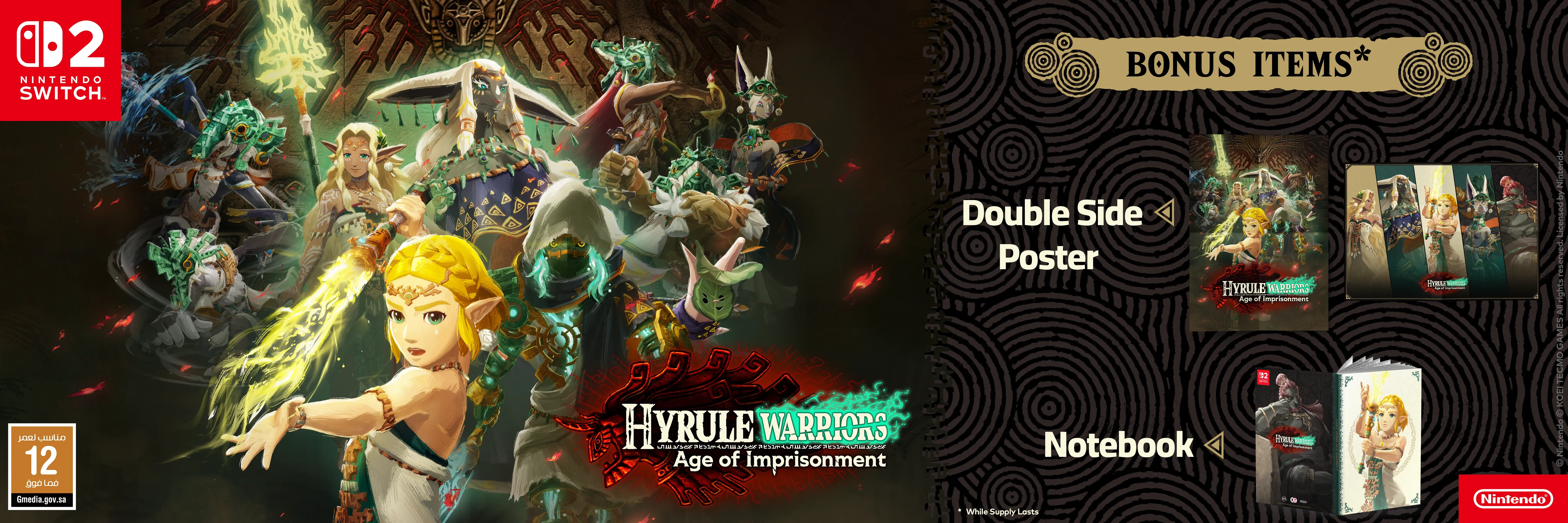 Hyrule Warriors: Age of Imprisonment Available for Pre-order