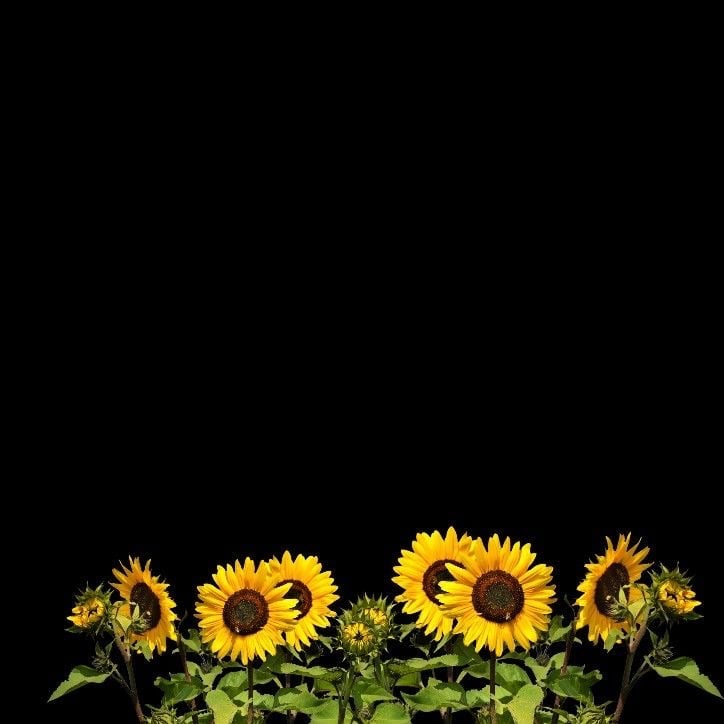 Footer Background Image in pc