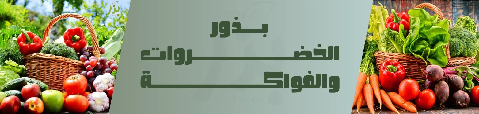 بذور الخضروات