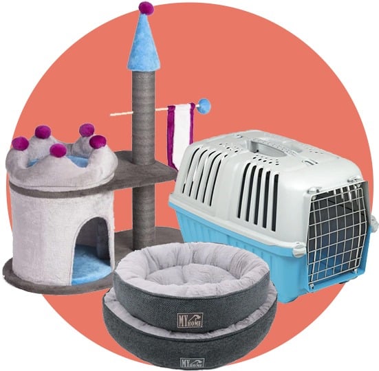 بيوت وأقفاص القطط