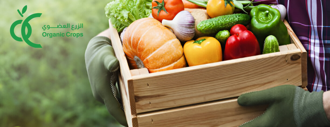 الزرع العضوي Organic crops image-slider-0