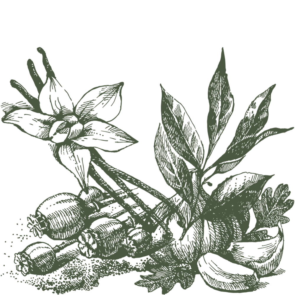 https://cdn.salla.sa/form-builder/MnALqfEKEDx6USenewQfYarcC1bQMsGQfBUHDzNp.png