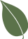 تحسين الهضم