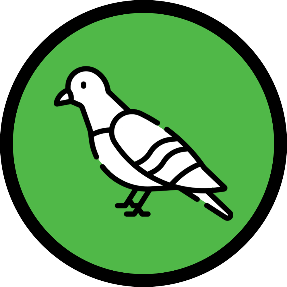 Bird control and repellent tools