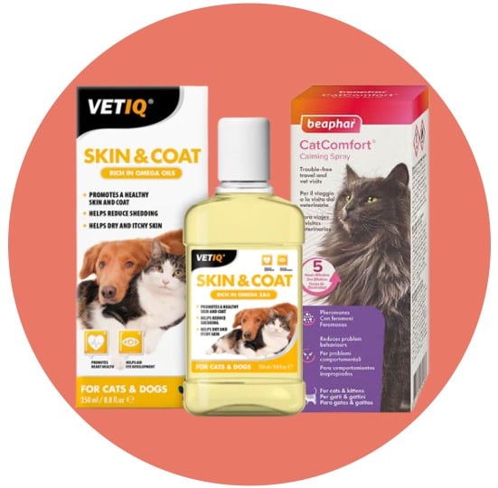 العناية الصحية للقطط