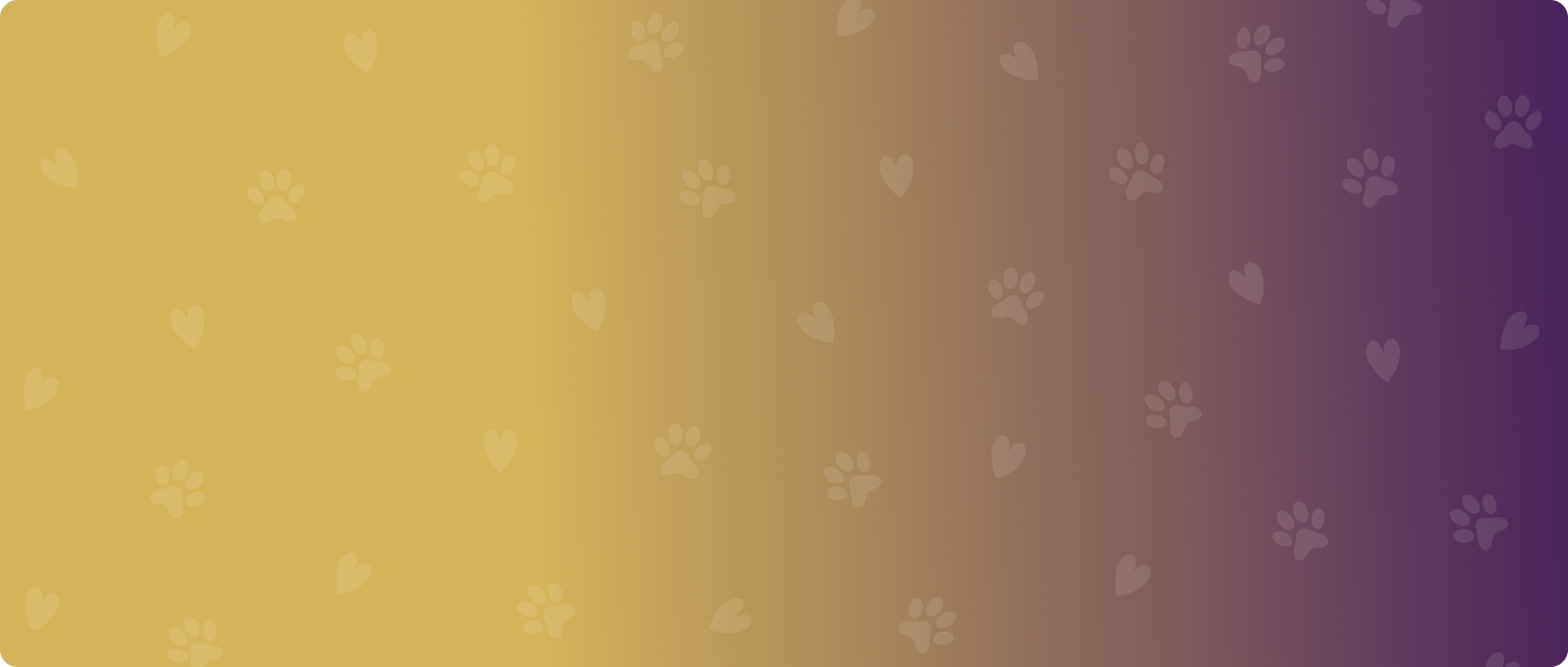 Banner background shape