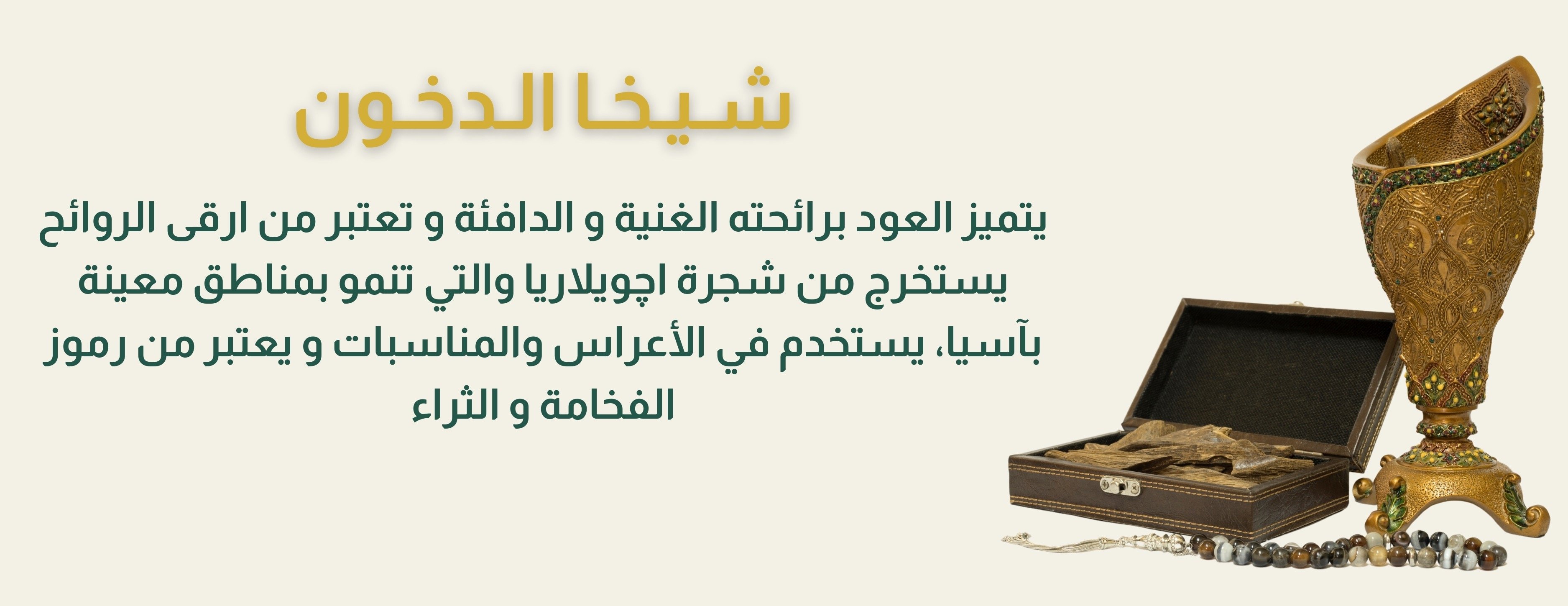 شيخا الدخون image-slider-1