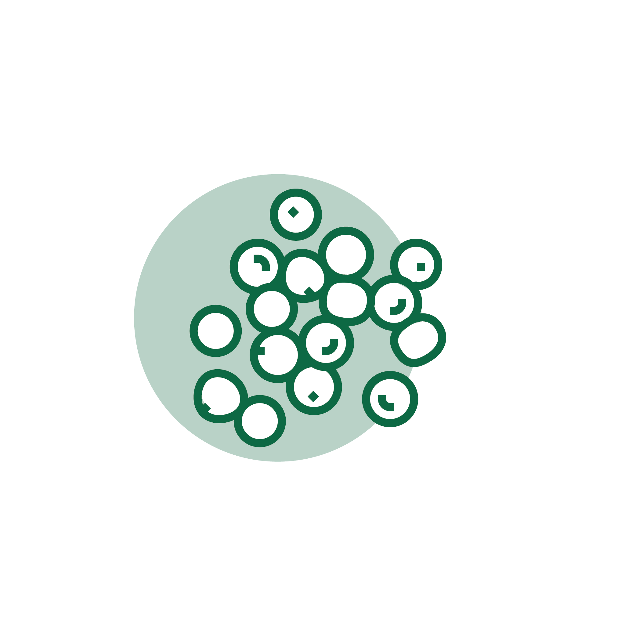 حبوب وبقوليات وبذور