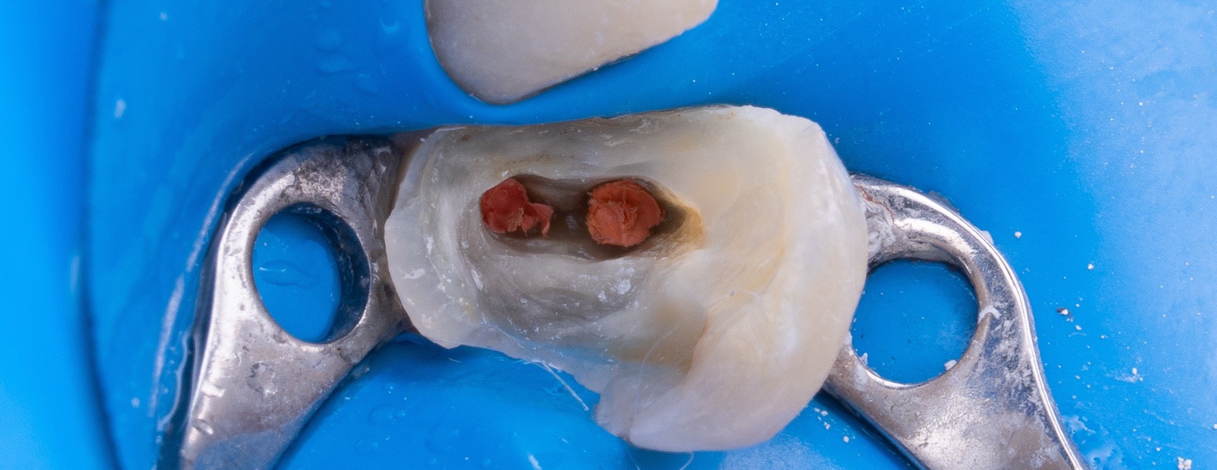 BAHRI STORE image-slider-5