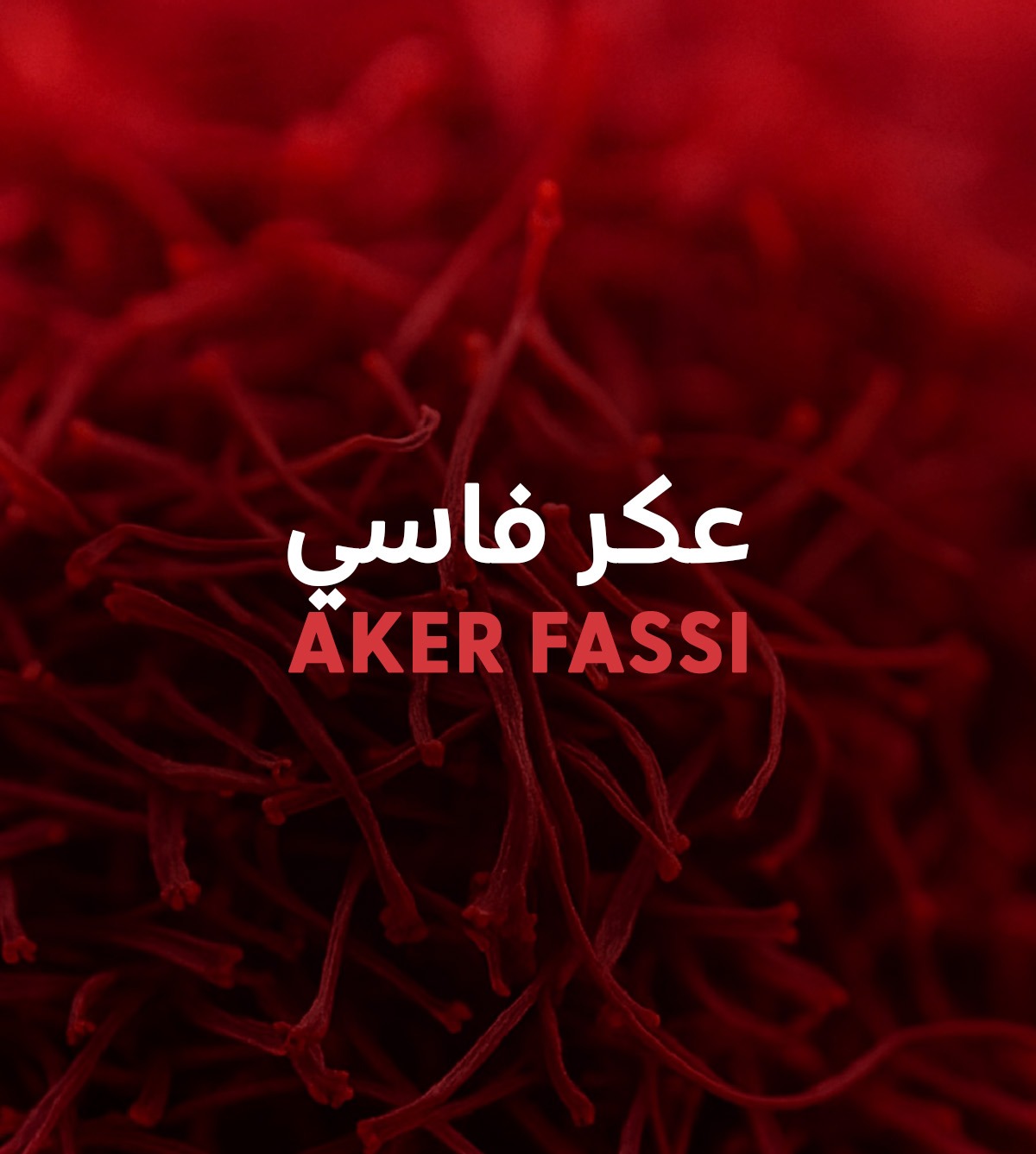 منتجات العكر الفاسي