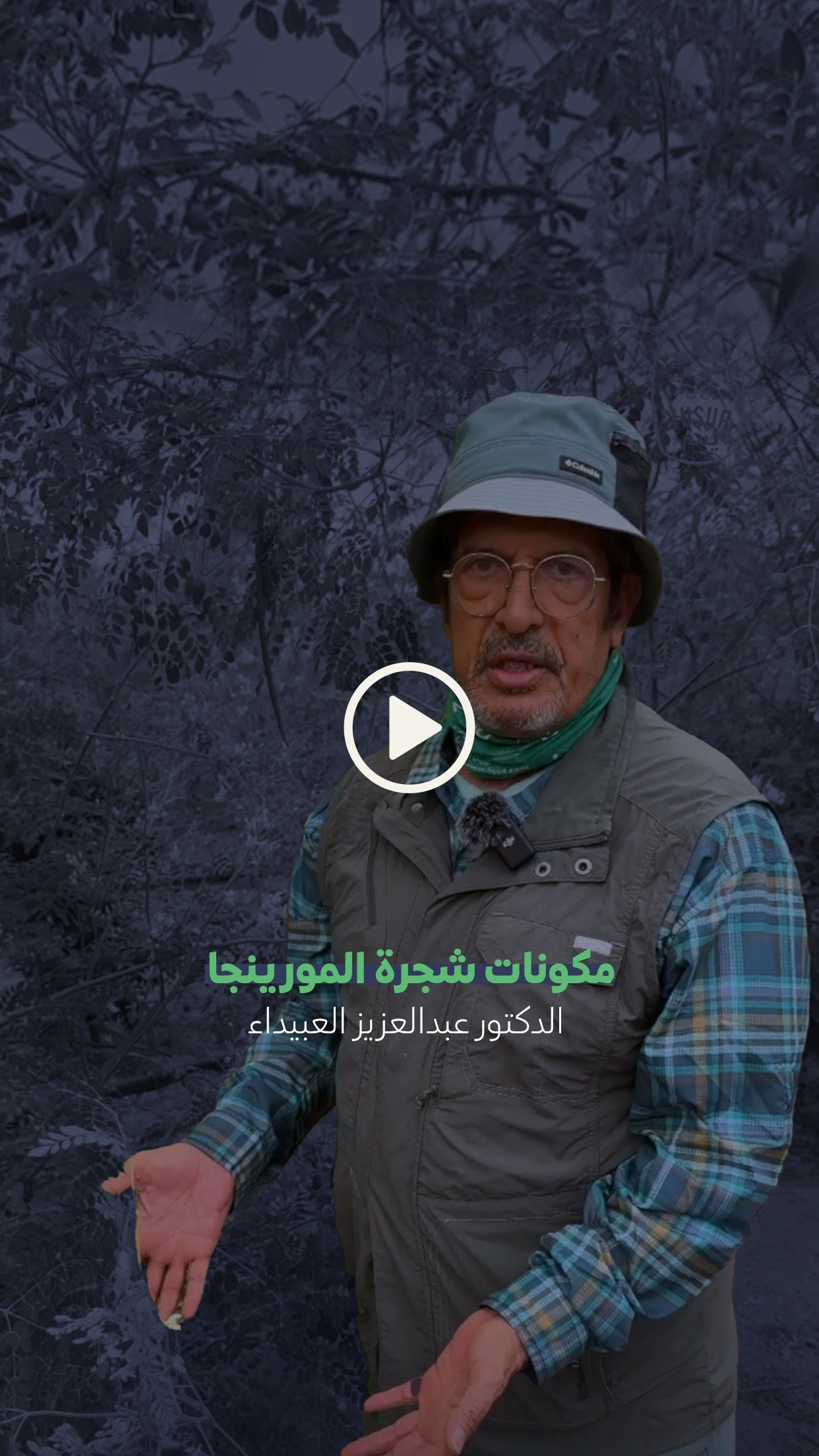 مكونات شجرة المورينجا