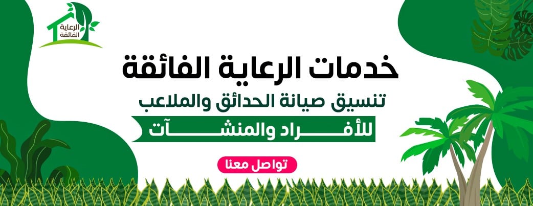 الرعاية الفائقة لتنسيق الحدائق image-slider-0