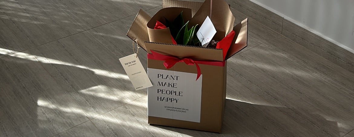 VERTPLANT image-slider-0