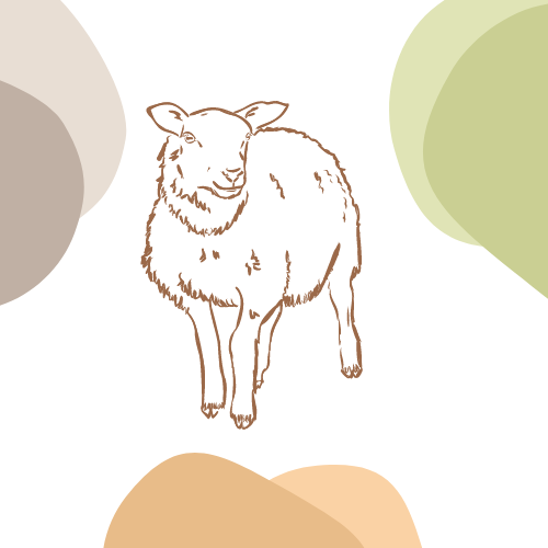 قسم السواكني-