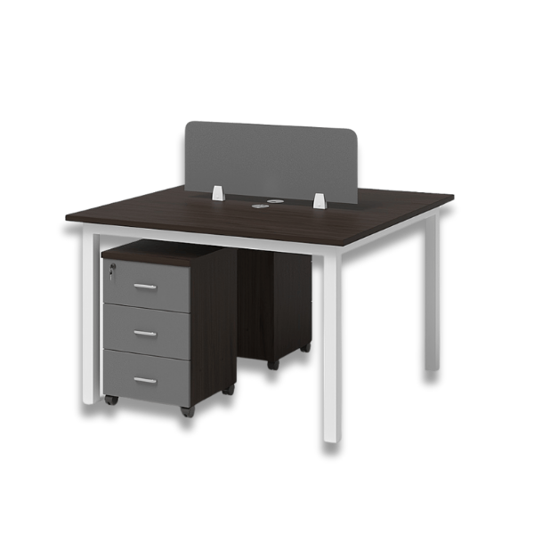 وحدات عمل ثنائي