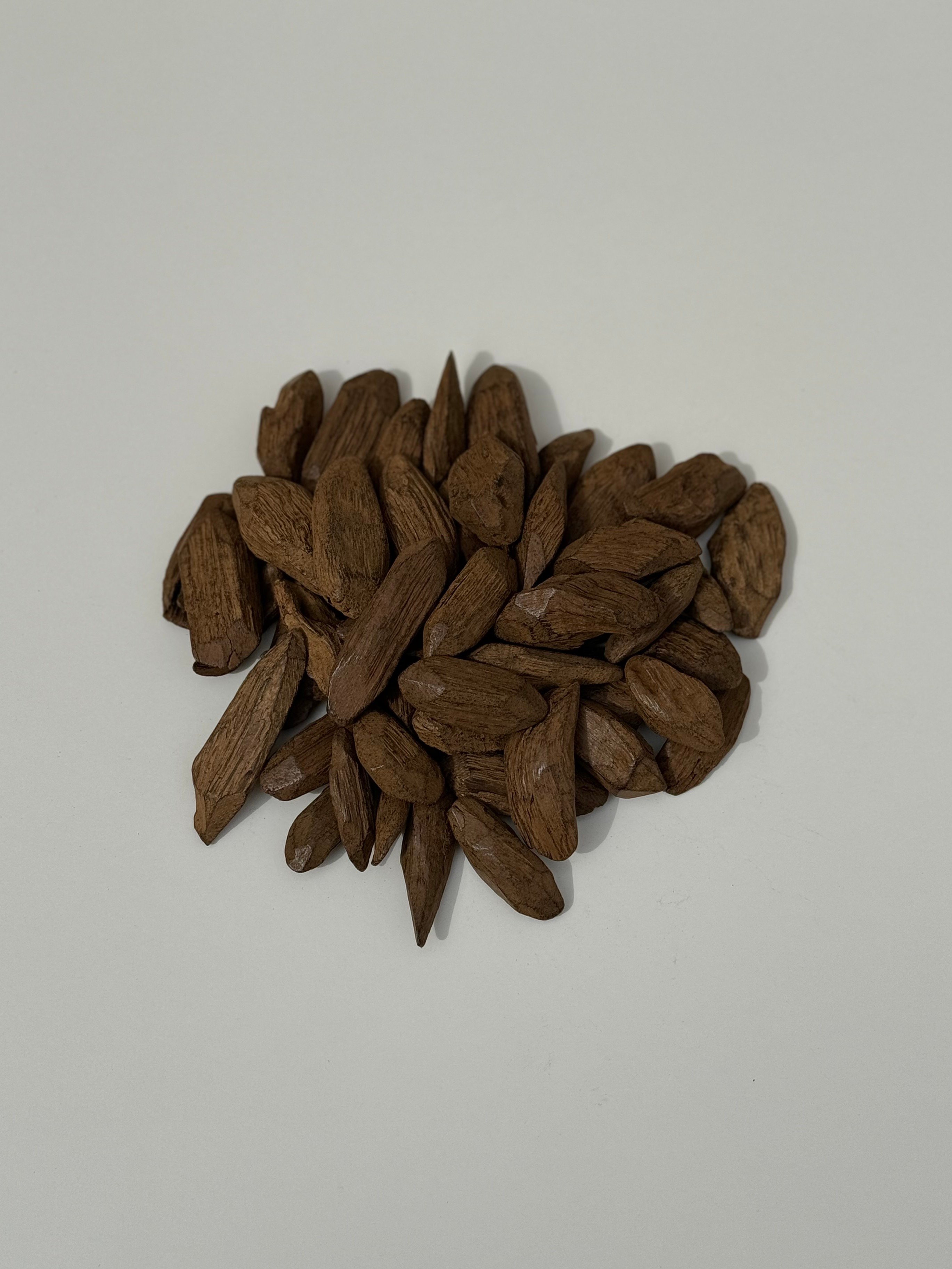 المراسم الأولى للعود