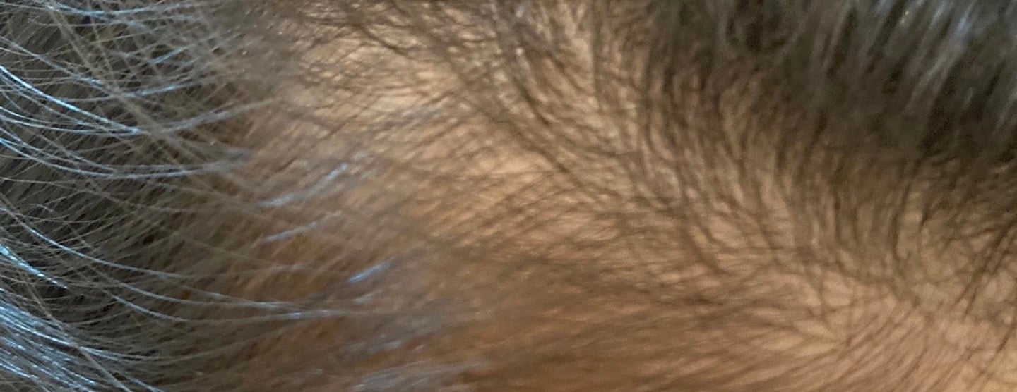 شجره image-slider-1