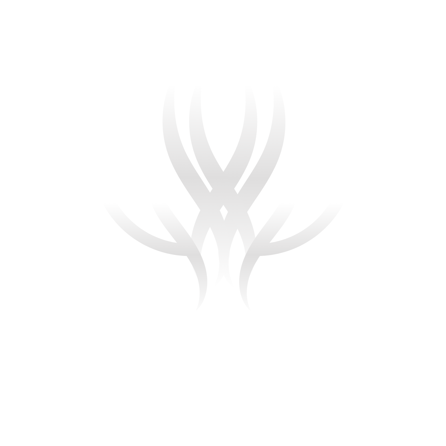 الصدف للعود