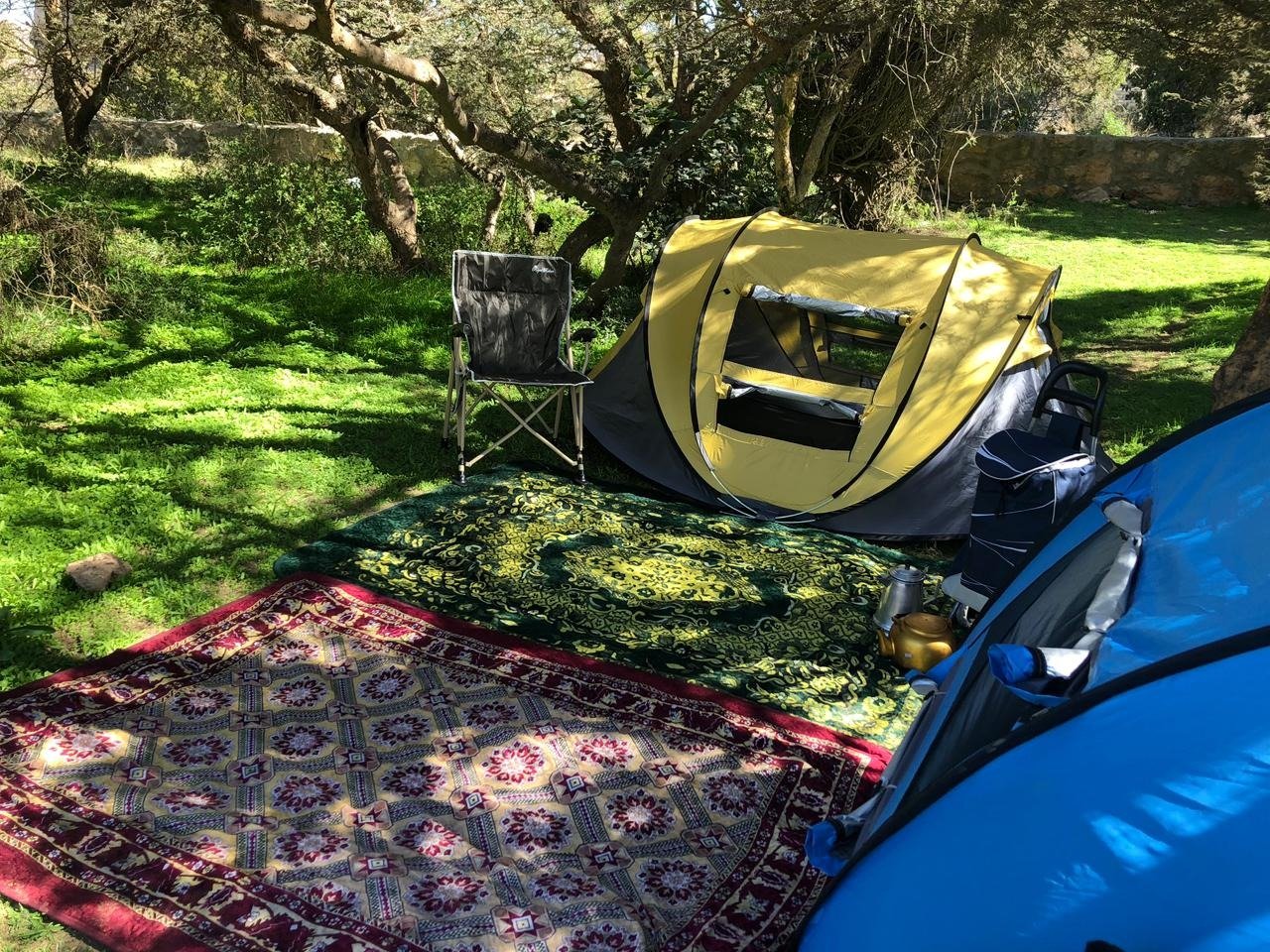 طبيعة تنومة