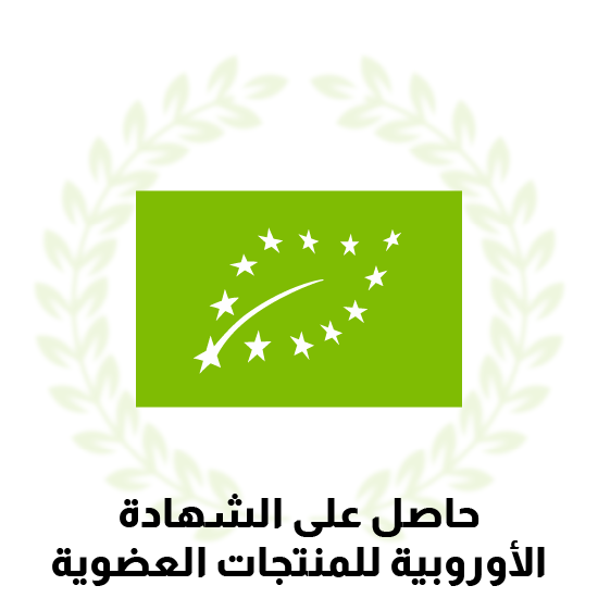 certificate-3