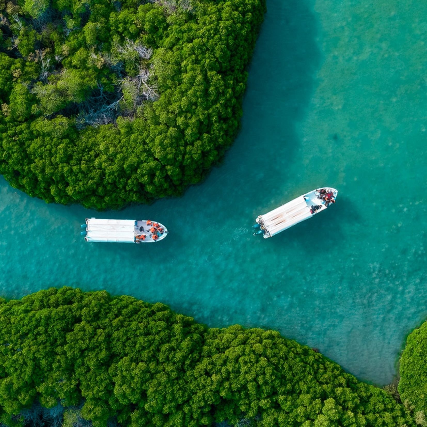المنطقة الجنوبية