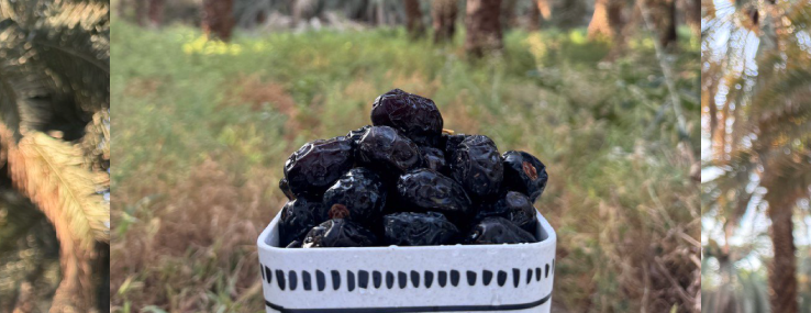 ساگ image-slider-3