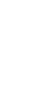tagz Logo