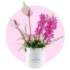 الياسمين الطبيعي