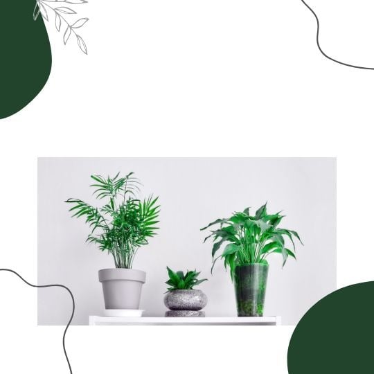 https://cdn.salla.sa/form-builder/OqfbYphmCbi1mrTIo7mBcATzXLCFmtKHEgyXTePp.jpg