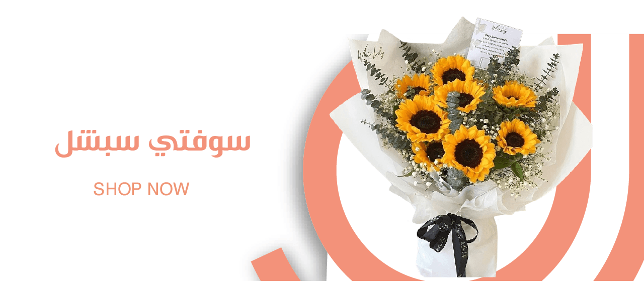 Softie image-slider-0