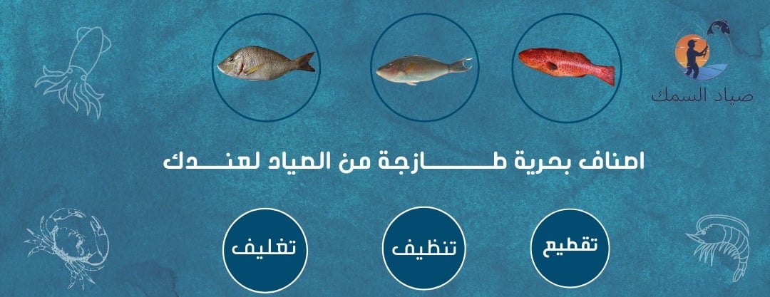 صياد السمك image-slider-0