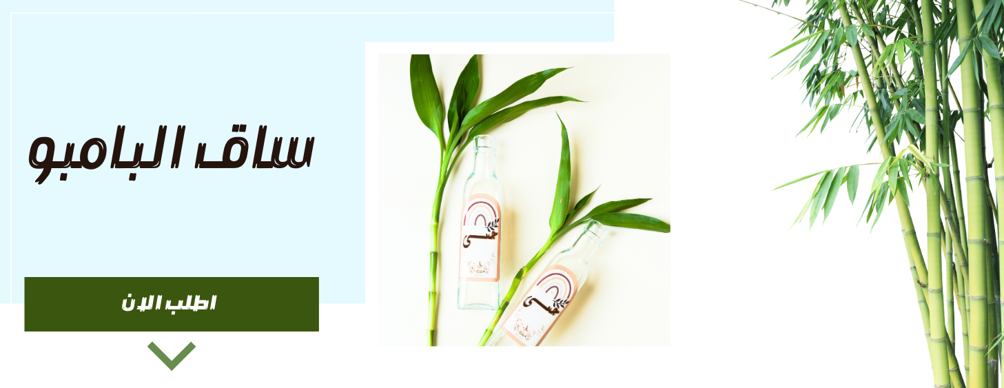 Joie image-slider-3