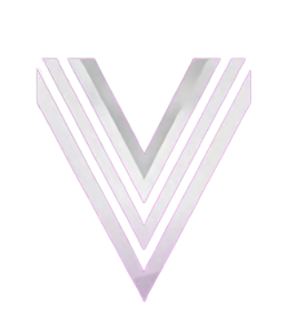 Vince store