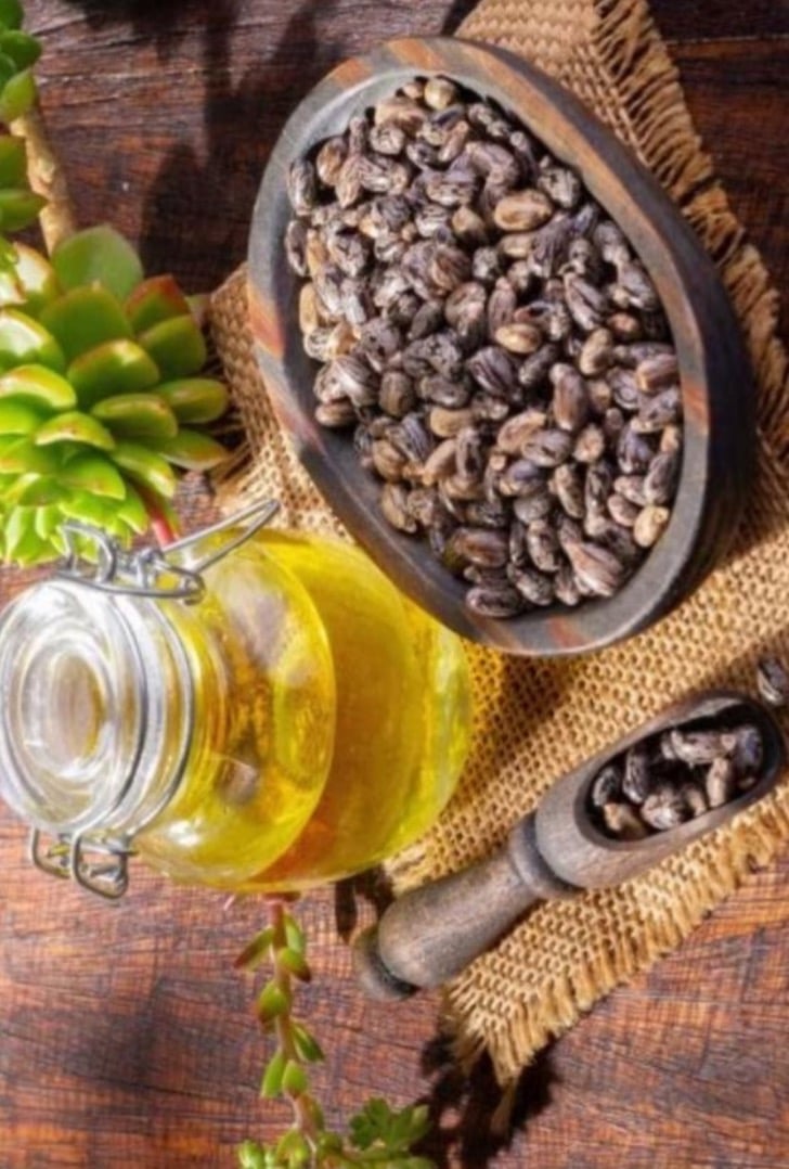 زيت الخروع-4