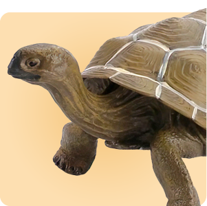 https://cdn.salla.sa/form-builder/PBE1gignMoj8bgTBX6wO8woxtBkKurBLiXC3M4E6.png
