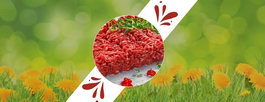 مراعي القاضي image-slider-0