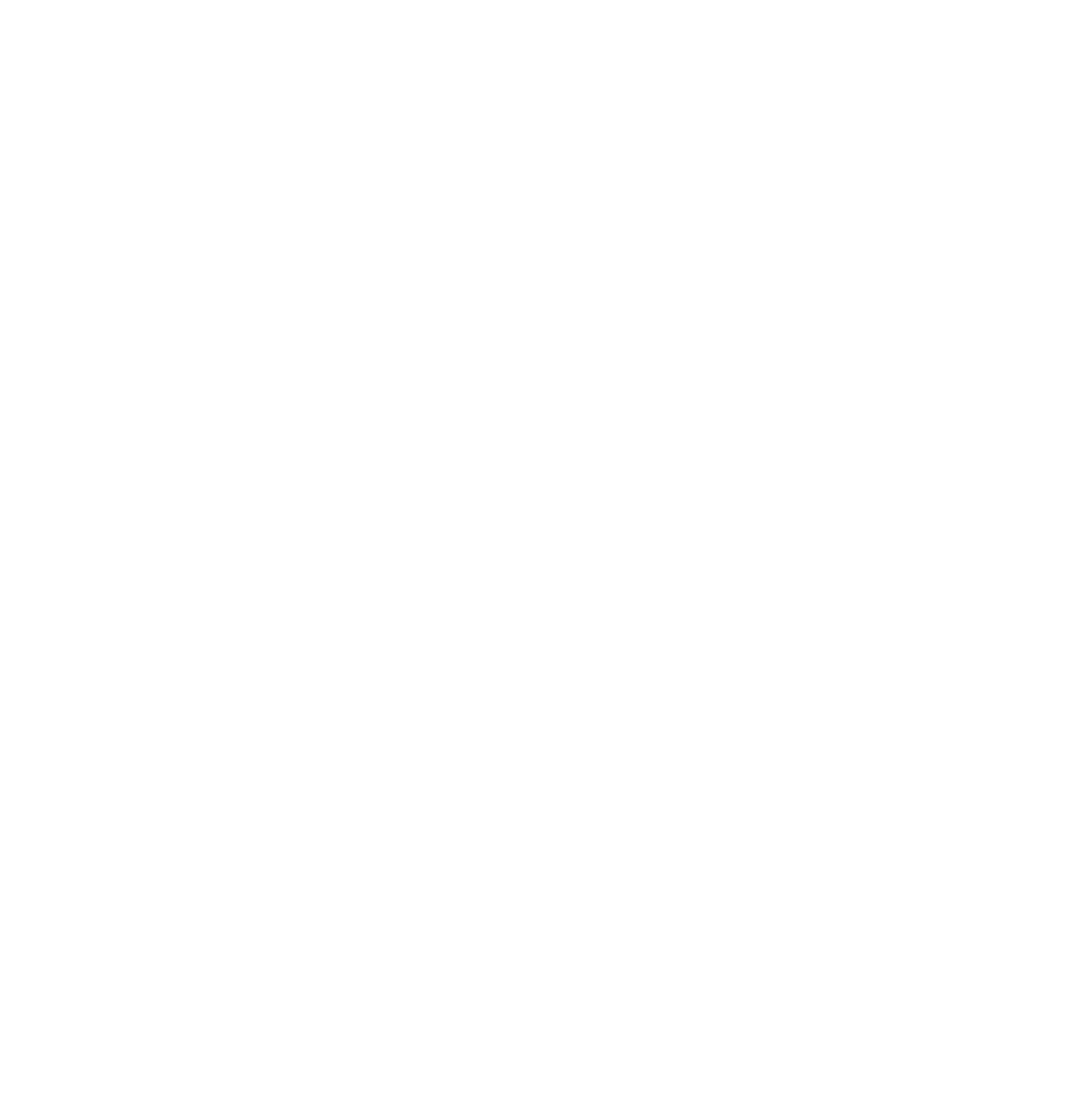 PLETHORA Logo