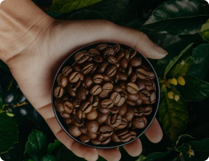 Background Image hover