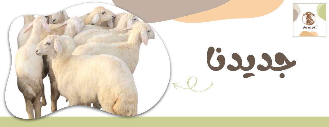 اختر ذبيحتك image-slider-2